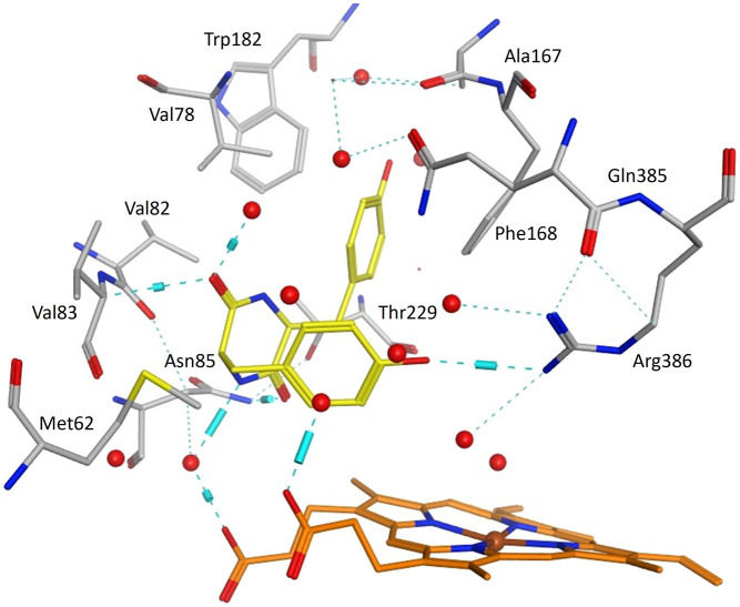 Fig. 6