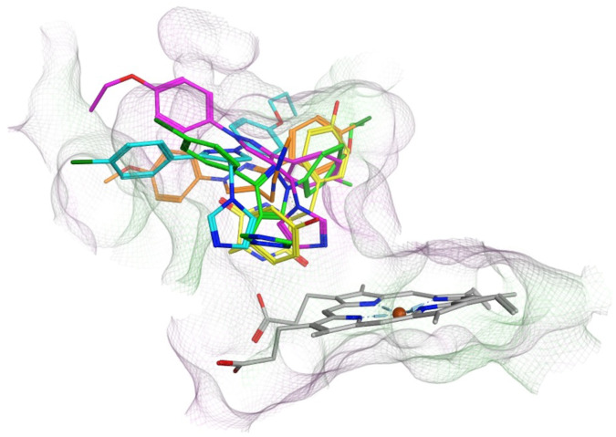 Fig. 7