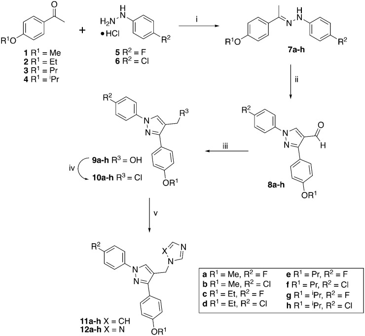 Scheme 1