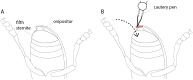 Fig. 2.