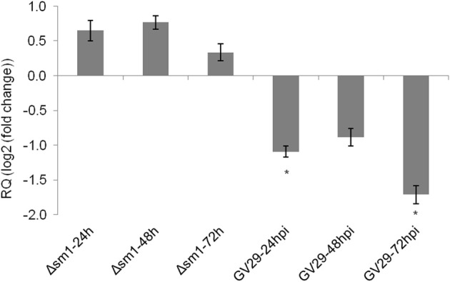 Figure 5