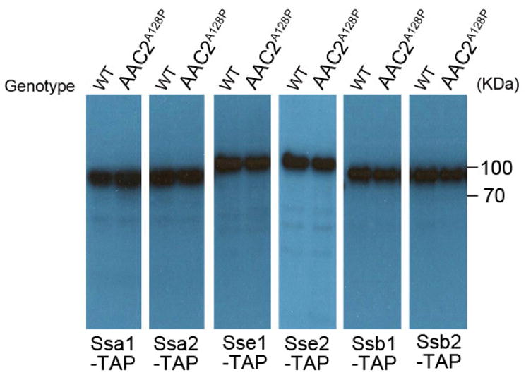 Extended Data Figure 7