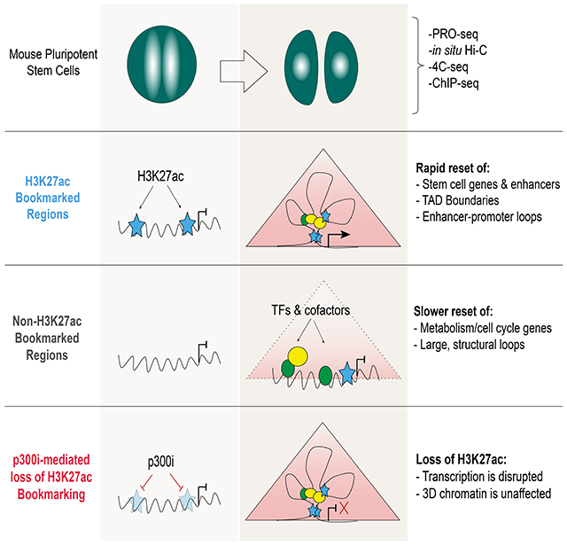 graphic file with name nihms-1680195-f0008.jpg