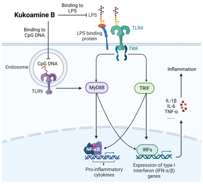 Figure 13