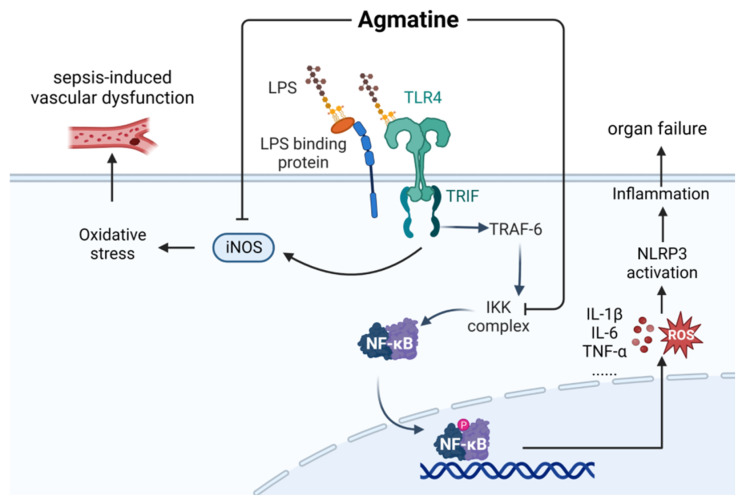 Figure 12