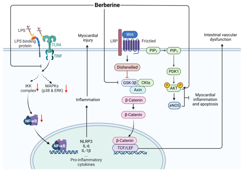 Figure 16