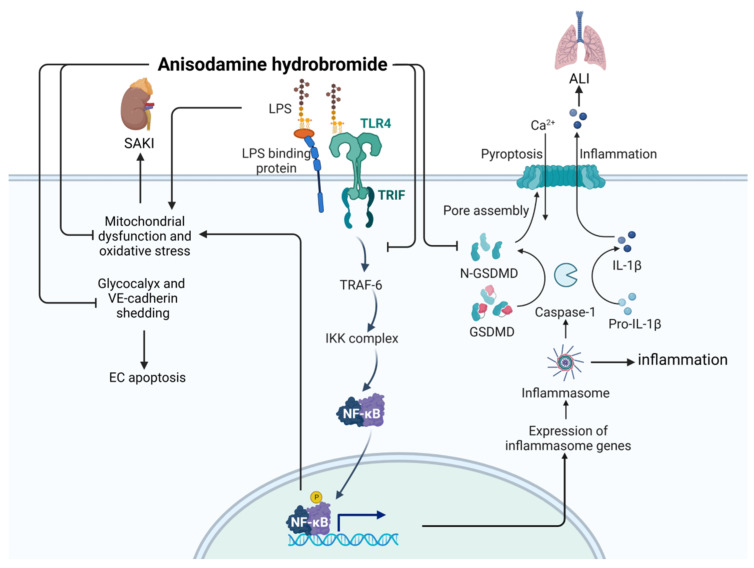 Figure 15