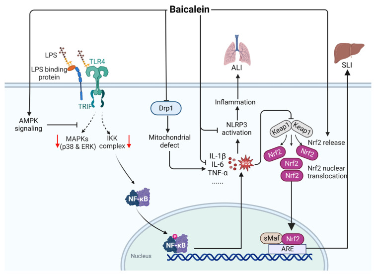 Figure 10