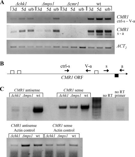 FIG. 6.