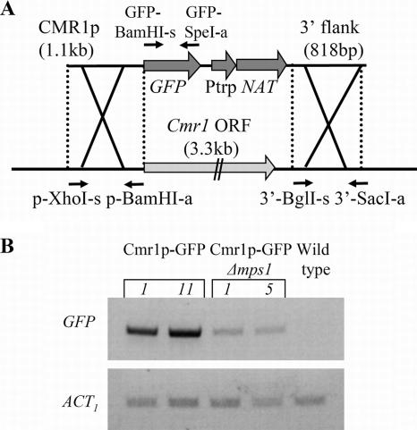 FIG. 7.