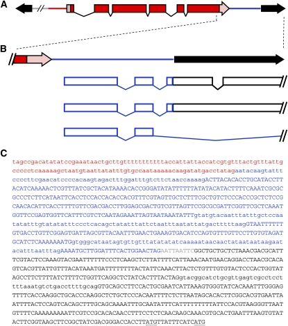 Figure 1.—