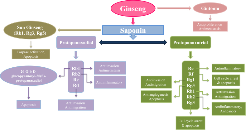 Fig. 2