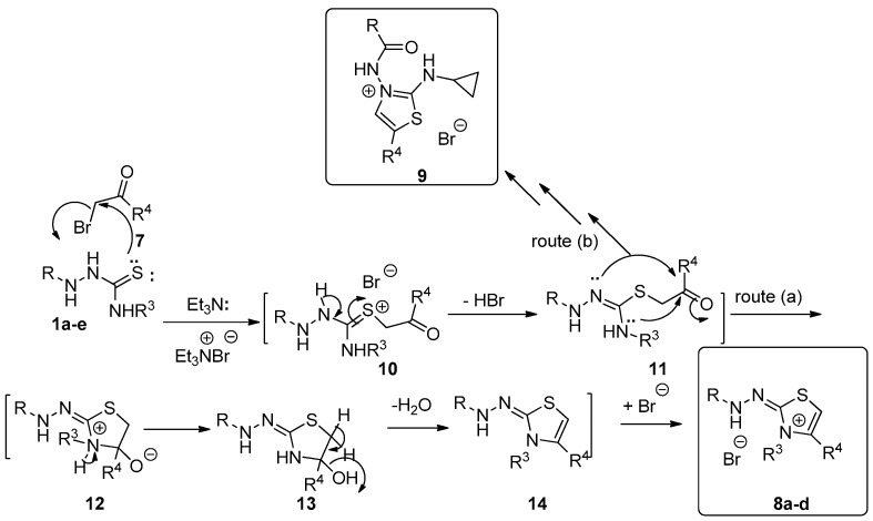 Scheme 4