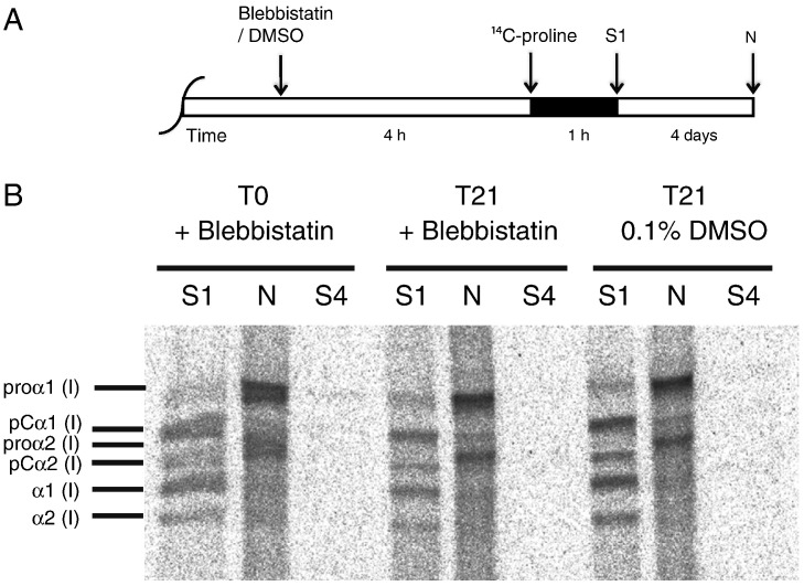 Fig. 11