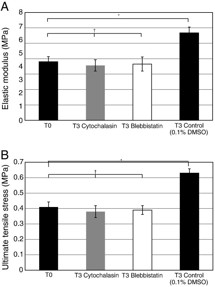 Fig. 9