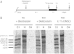 Fig. 11