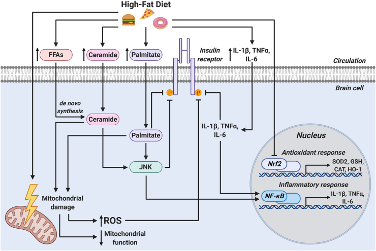 Figure 3