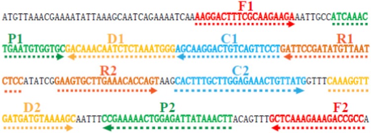 Figure 2