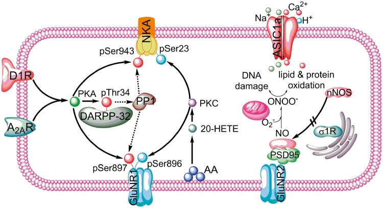 Figure 3.