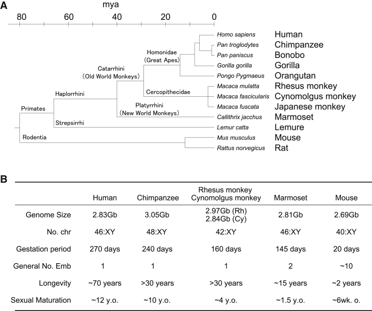 Figure 1