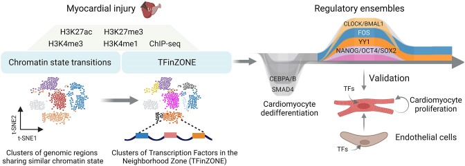 Graphical Abstract