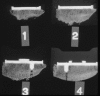 Fig. 2