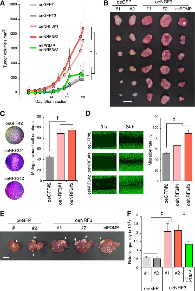 FIG 6