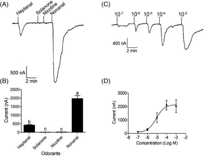 Figure 5