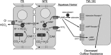 <b>FIG. 3.</b>