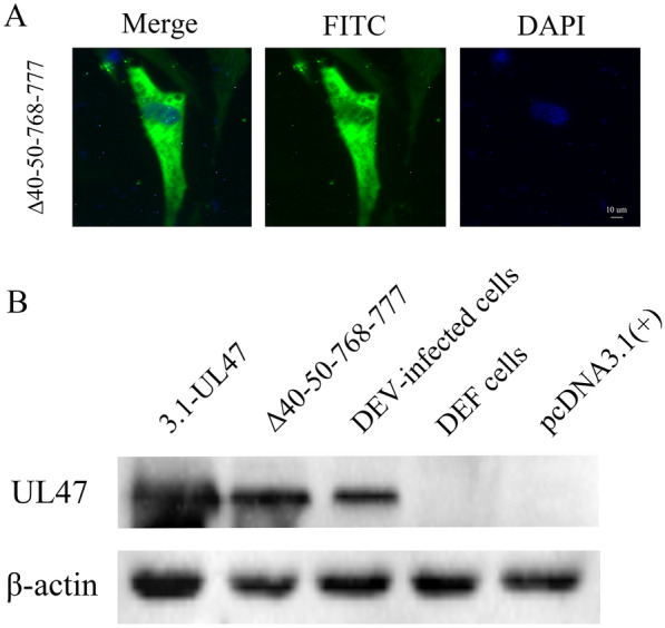 Figure 6