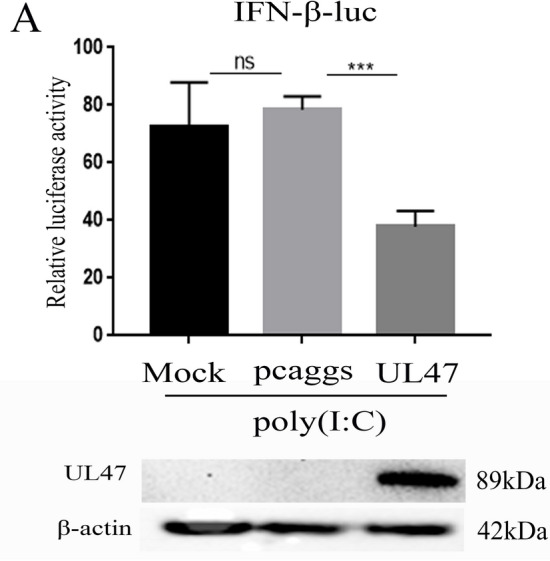 Figure 7