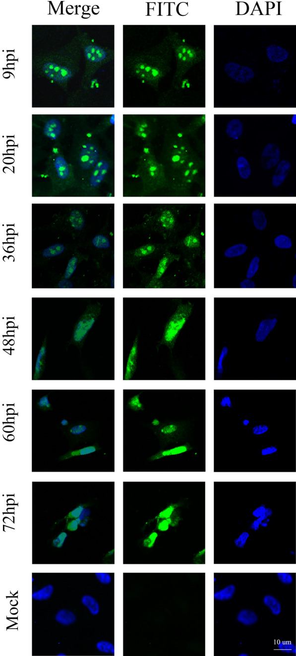 Figure 4