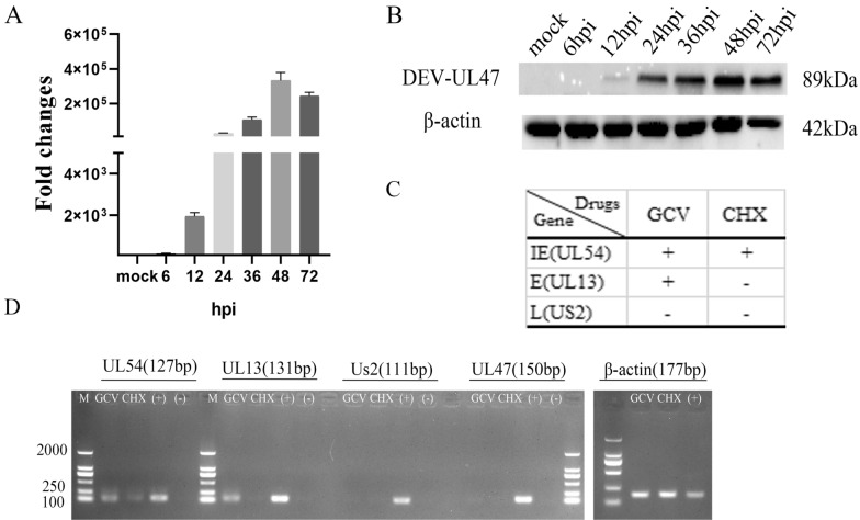 Figure 2