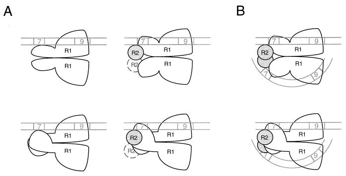 FIG. 7