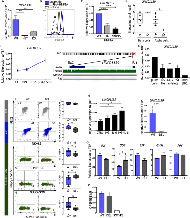 Figure 6: