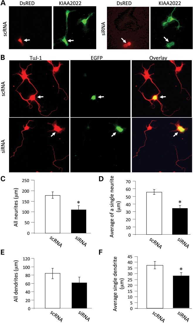 Figure 3.