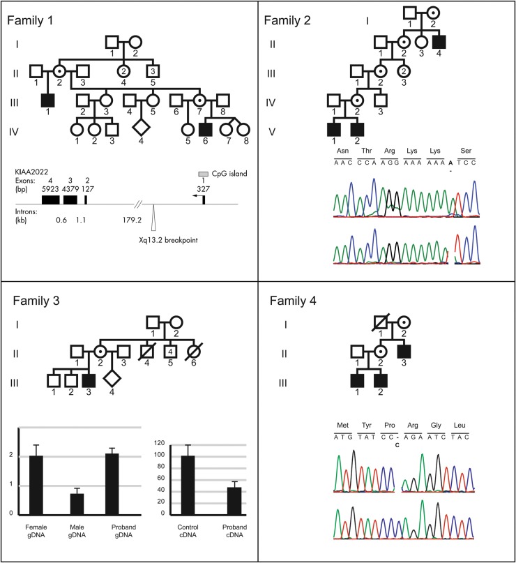 Figure 1.