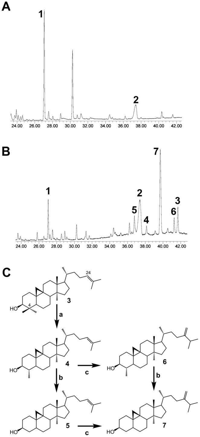 Figure 5