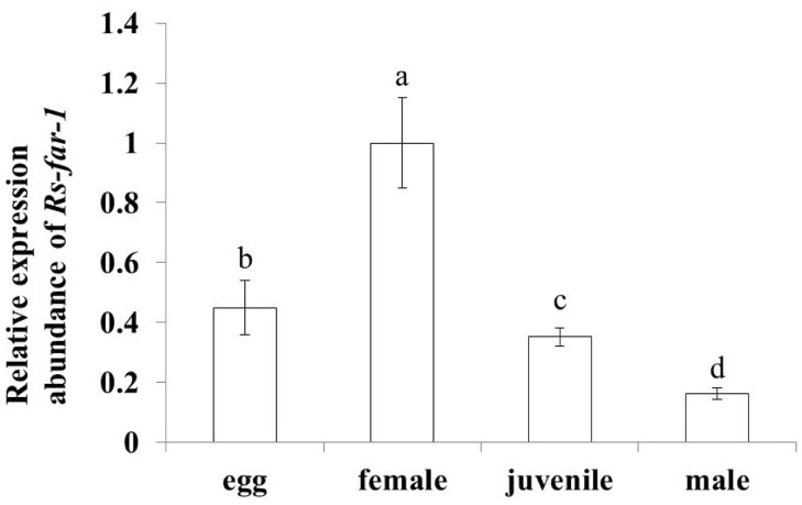 Fig 5