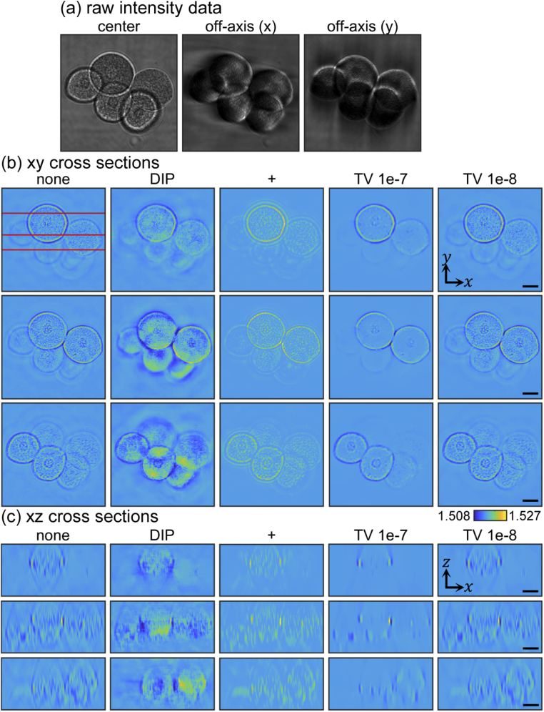 Fig. 9.