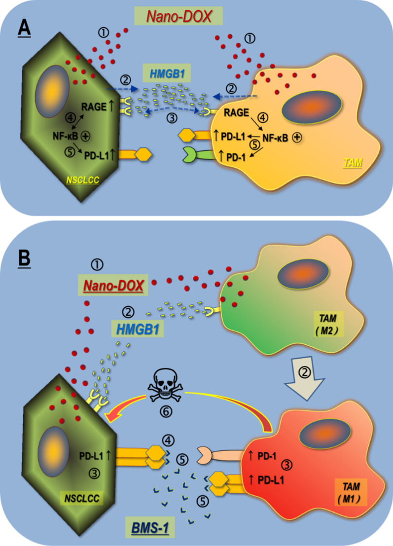 Fig. 11