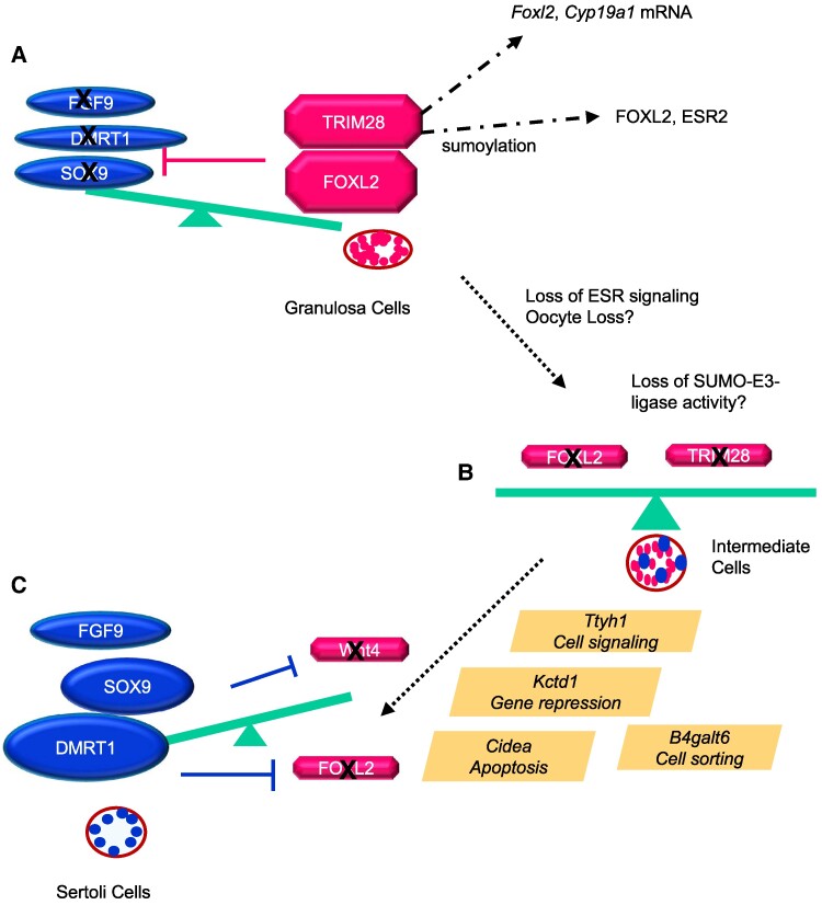 Figure 6.