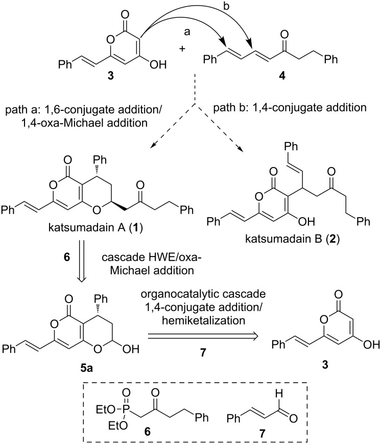 Scheme 1