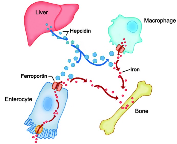 Figure 2.