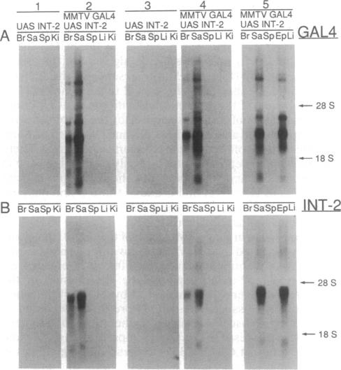 graphic file with name pnas01053-0027-a.jpg