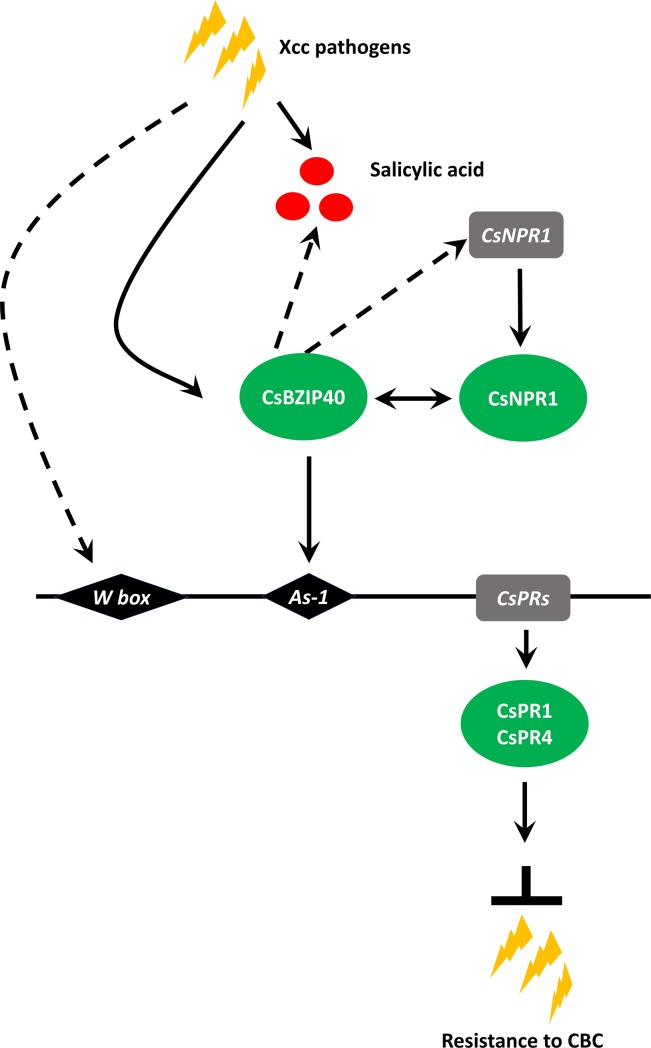 Fig 9