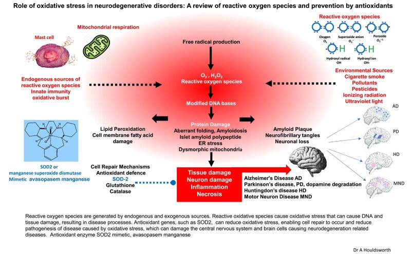 Graphical Abstract