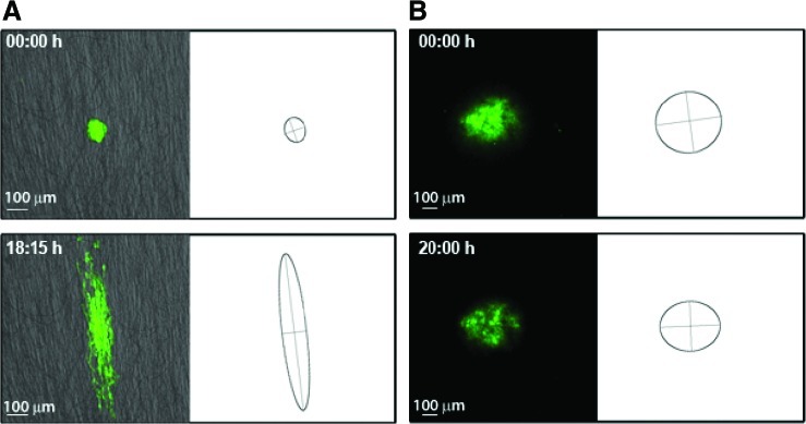 FIG. 8.