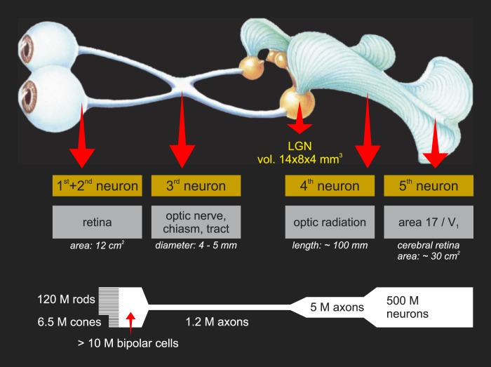 Figure 1.1.