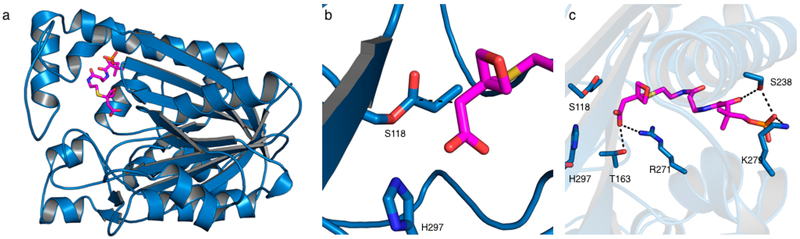 Figure 2.